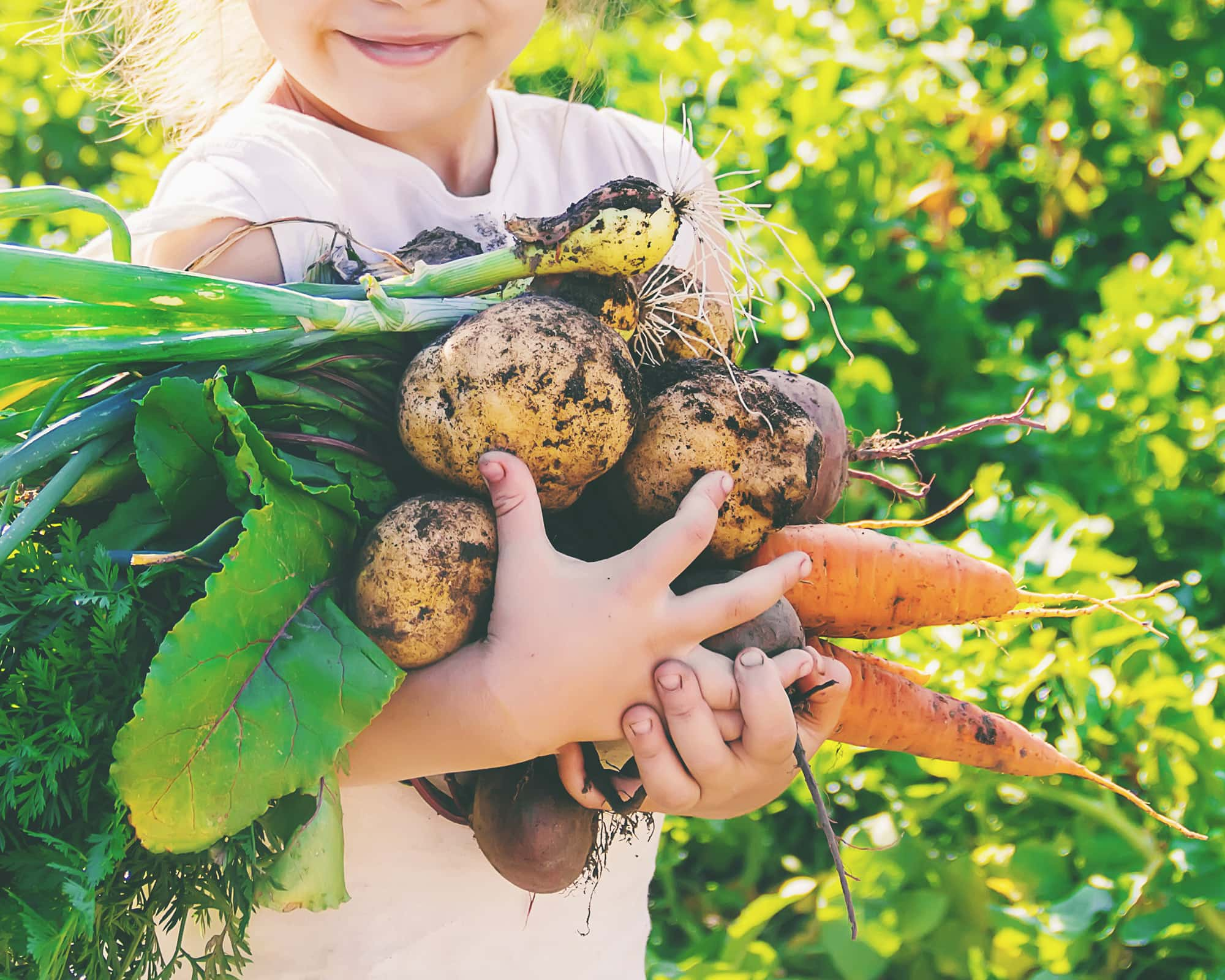 Webinar: Bridging Health and Nutrition: Food Assistance Strategies for School-Based Health Centers